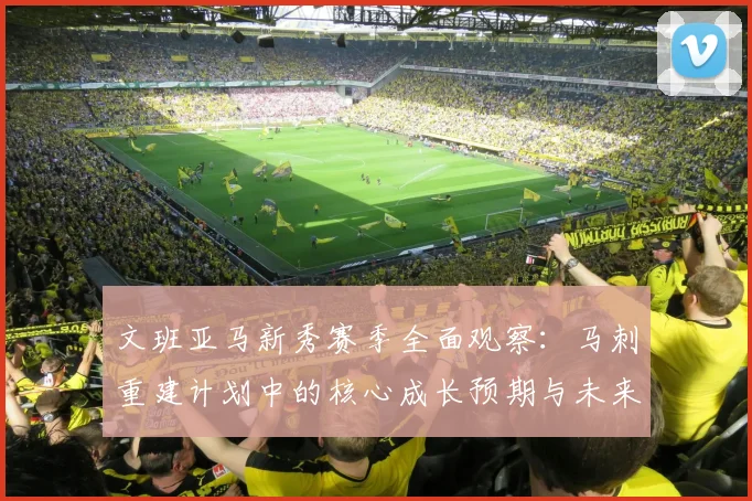 文班亚马新秀赛季全面观察:马刺重建计划中的核心成长预期与未来方向